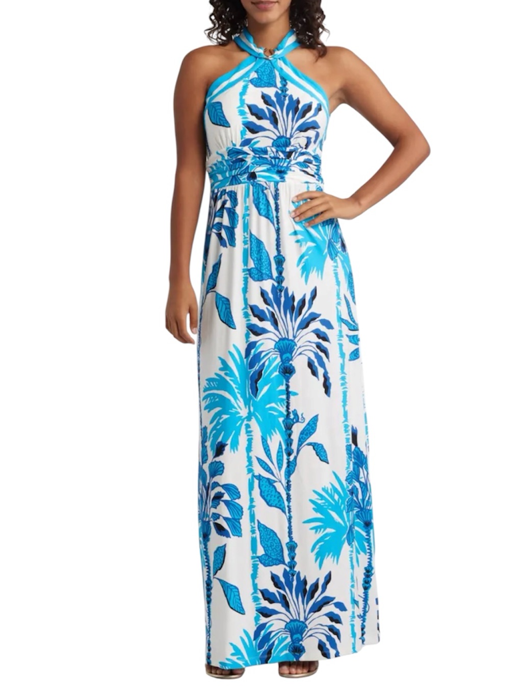 Lilly Pulitzer Blue & White Tropical Halter Devena Maxi Dress